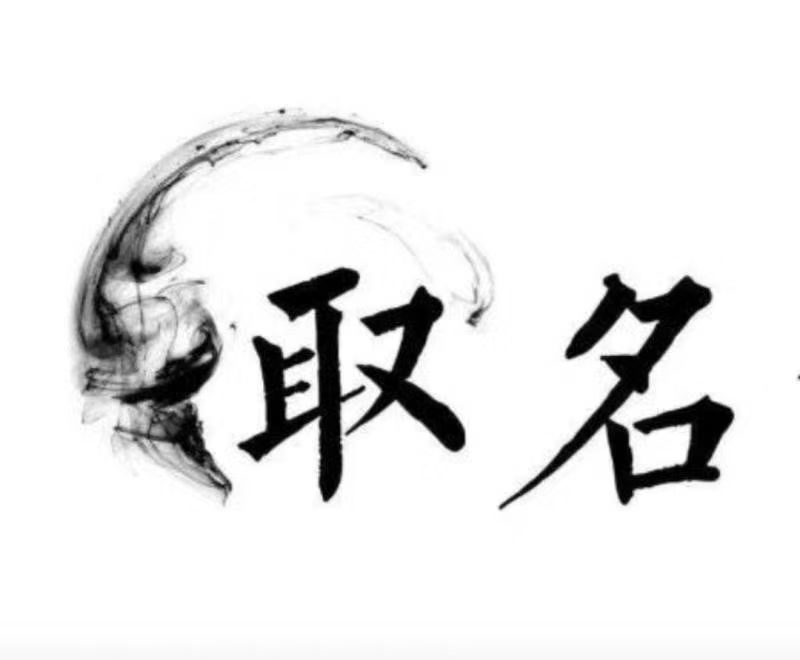  顺城宝宝取名 大师一对一人工起名